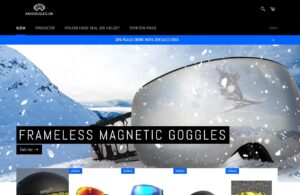 Skigoggles